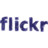 Flickr Icon